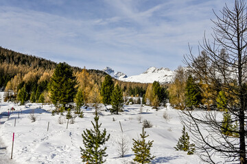 Pontresina Val Bernina Winter Wintersport