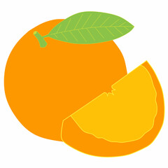 orange fruit vector illustration