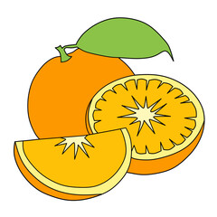 vector illustration of fruits