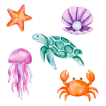 Watercolor Marine Animals Set Featuring Sea Turtle, Jellyfish, Crab, Starfish, and Shell with Pearl in Soft Ocean Tones