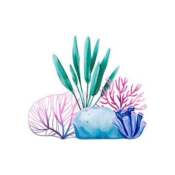 Watercolor Underwater Composition with Seaweed, Pink Fan Coral, Blue Rock, and Tube Coral in a Marine Botanical Style