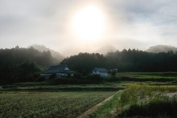 Fototapete bei efototapeten.de bestellen   