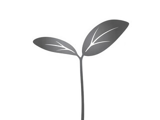 Obraz premium Simple monochrome illustration of a young plant sprout with two leaves isolated on transparent background