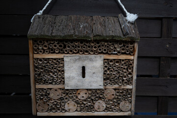 insekten hotel natur tier haus
