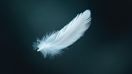 Obraz premium Delicate white feather suspended gracefully in mid-air against a dark background showcasing nature's beauty and elegance