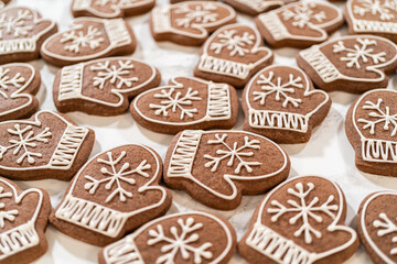 Beautifully Decorated Mitten Cookies with Royal Icing Designs