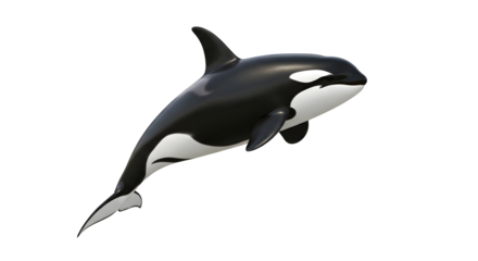 Majestic orca whale leaps with grace, a captivating marine predator, symbolizing power and freedom, ideal for wildlife documentaries and ocean conservation campaigns