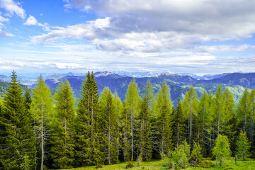 View of the idyllic landscape on the Goldeck. A mountain in the Latschur Group in the Gailtal Alps in Carinthia near Spittal an der Drau. Nature in the Austrian mountains.
