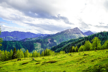 Obraz premium View of the idyllic landscape on the Goldeck. A mountain in the Latschur Group in the Gailtal Alps in Carinthia near Spittal an der Drau. Nature in the Austrian mountains. 