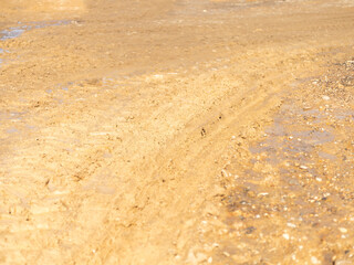 A wet dirt path reveals clear tire tracks leading through a rural area. Small puddles form in the uneven ground, reflecting the sunlight on a clear day
