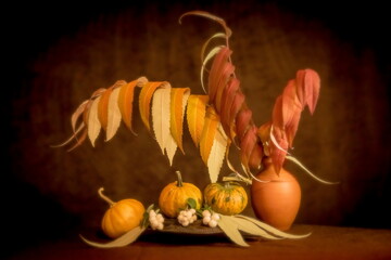 Autumn colors - rusty leaves of staghorn sumac (rhus typhina) in the vase	