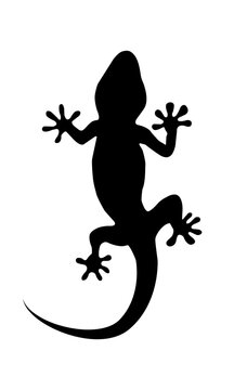 Silhouette of a lizard, A gecko silhouette vector