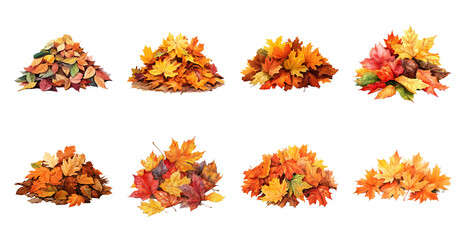 PNG Colorful autumn leaves illustration, element set on transparent background