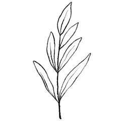 Minimalist Botanical Branch Line Art, Hand Drawn Leaf Outline, Wedding floral ink line art
