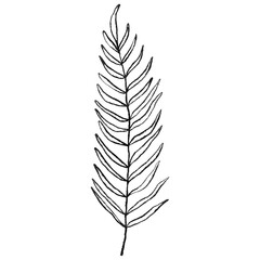 Fototapeta premium Minimalist Botanical Branch Line Art, Hand Drawn Leaf Outline, Wedding floral ink line art 