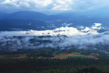 Obraz premium Agricultural conditions in the valleys of the Karen tribe in Umphang District, Tak Province, Thailand
