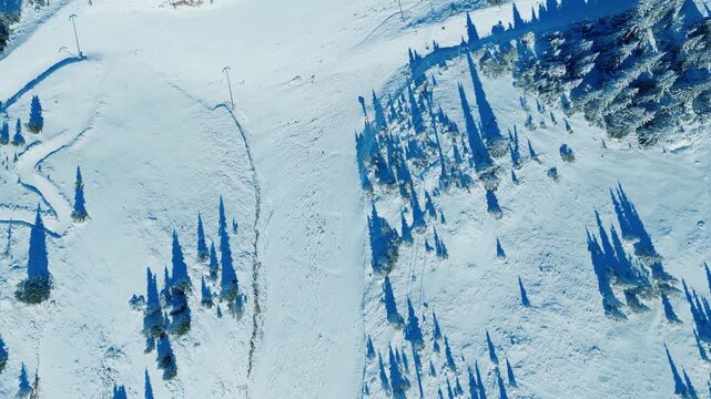 Drone camera moves above snowy forest and mountain ski slope illuminated by winter sun