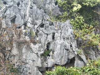 Mu Ko Ang Thong National Park, Thailand – scenic tropical islands view. Rocky slope covered with vegetation