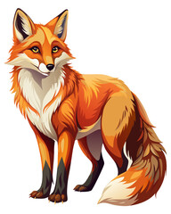Obraz premium Fox ,full body , real print Style, white background 