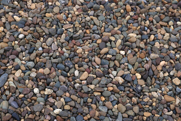 Colorful pebble background

