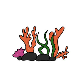 coral reef hand drawing