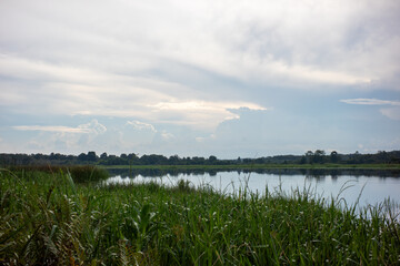 Overcast Sky Over Lake with Tall Grass and Reeds
