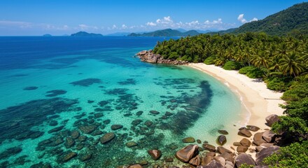 Idyllic tropical white sand beach bordering crystal clear turquoise ocean water and lush palm jungle