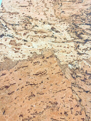 Macro image of cork decorative texture showing organic lines and detailed natural structure.