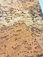 Macro close-up of natural cork surface showing organic texture and irregular brown pattern.