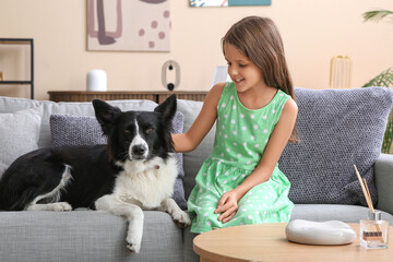 Cute little girl with Border Collie dog on sofa at home