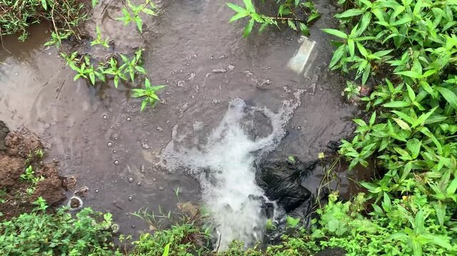 Dynamic water flow splashes vigorously into murky stream surrounded by lush green foliage suggesting natural movement and environmental processes