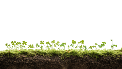 A cross-section showcasing healthy, young plants emerging from soil and moss