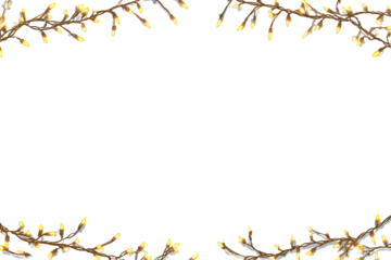 Garland of tiny warm lights on branches forms a frame against a black backdrop