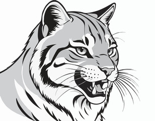 wildcat mascot