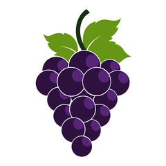 grapes silhouette vector on white