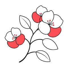 japanese quince line art on white background