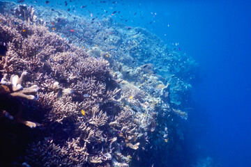 underwater world map