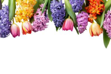 Colorful array of spring flowers, a vibrant mix of hyacinths and tulips, over black
