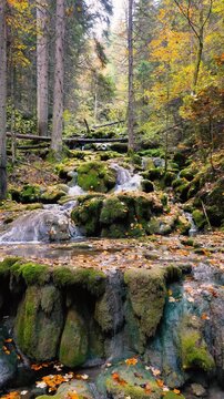 Drone gently moves toward moss-covered waterfall in quiet forest filled with autumn colors
