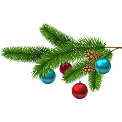 Evergreen Pine Branch Adorned With Red And Blue Baubles And Pinecones With A White Background