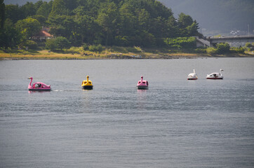 湖とスワンボート