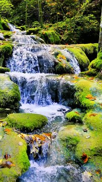 Cascading waterfall over mossy rocks surrounded by autumn leaves and forest trees in warm light