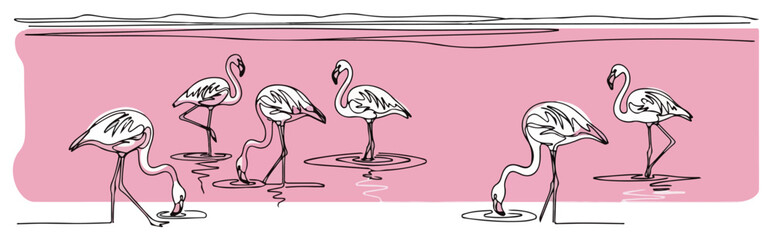 Flamingo flock continuous line drawing. Minimalist one line art of exotic birds in water for summer and nature concepts