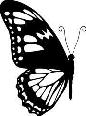 Half butterfly silhouette. This image shows a black silhouette of half a butterfly with detailed wings and antennae, also referred to as a butterfly outline. Vector clipart black illustration design