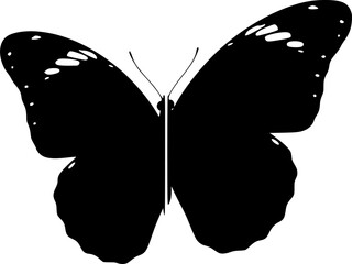 Half butterfly silhouette. This image shows a black silhouette of half a butterfly with detailed wings and antennae, also referred to as a butterfly outline. Vector clipart black illustration design