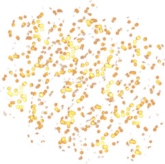 The dust sparks and golden stars shine with special light. Vector sparkles on a transparent background. . Stock royalty free vector illustration. PNG magical golden dust with glowing particles shine