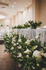 garden in the garden