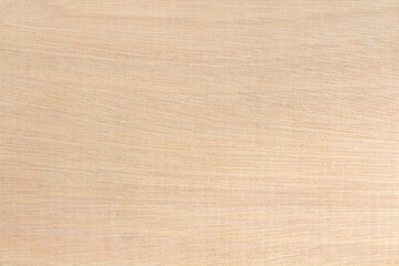 Plywood texture background, wooden surface in natural pattern for design art work.
