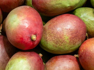 A close up of fresh and ripe mangoes