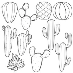 Cactus and Succulent Line Art Collection. Outline Illustrations of Desert Plants for Coloring and Graphic Design.